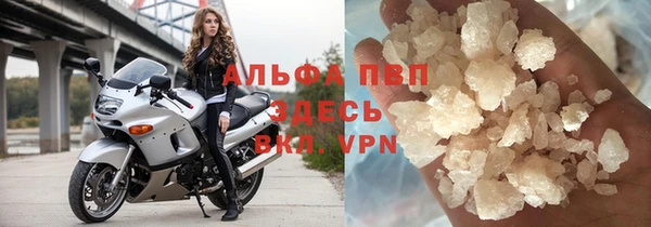 индика Слюдянка
