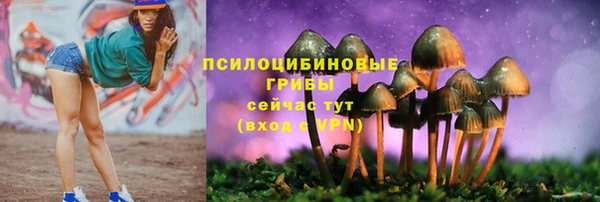 spice Алексеевка