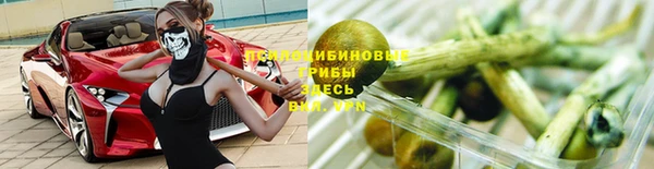 jwh Богородск