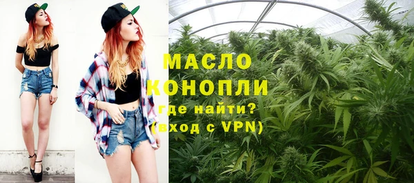 ГАЛЛЮЦИНОГЕННЫЕ ГРИБЫ Богданович