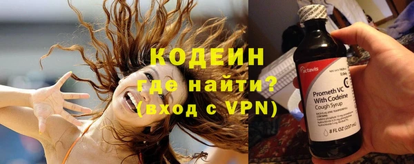 ГАЛЛЮЦИНОГЕННЫЕ ГРИБЫ Богданович