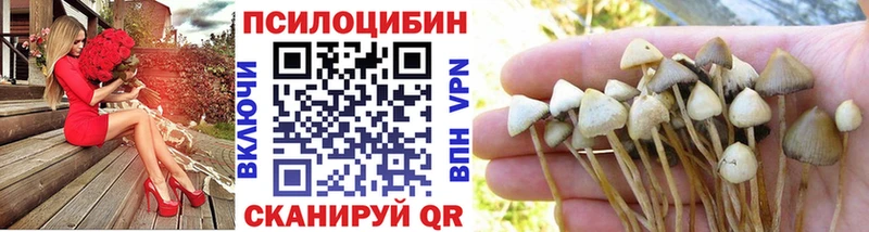 Купить  Ворсма  Псилоцибиновые грибы MAGIC MUSHROOMS 